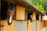 free Henleaze stable construction quotes